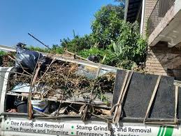 Shed Removal in Hurleyville, NY